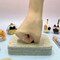 Needle Felting Kit for Beginners – DIY Adult Craft Set with Felting Wool, Needles & Tools | Make Faceless Animals, Cats & Dogs | 12-Piece Hobby Kit